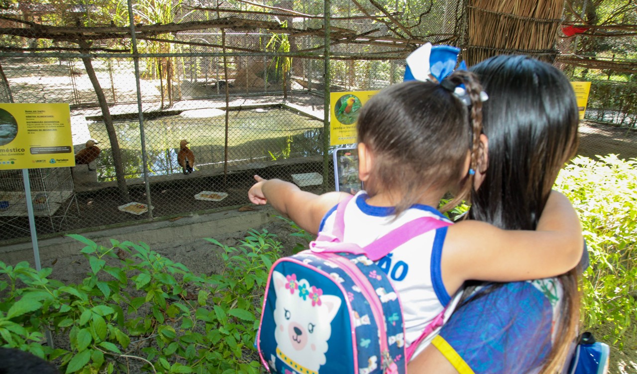 mãe e filha olhando um grupo de patos no zoológioo